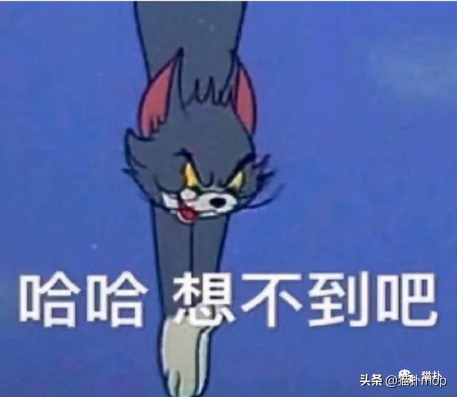 令人意想不到的奇葩表白墙,哈哈哈哈场面一度控制不住