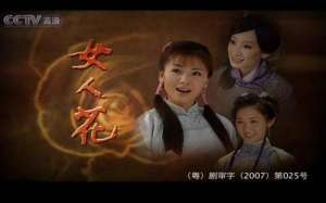 電視劇女人花(《女人花》：一場(chǎng)時(shí)代大背景下的愛情與陰謀、商戰(zhàn)與斗爭(zhēng))