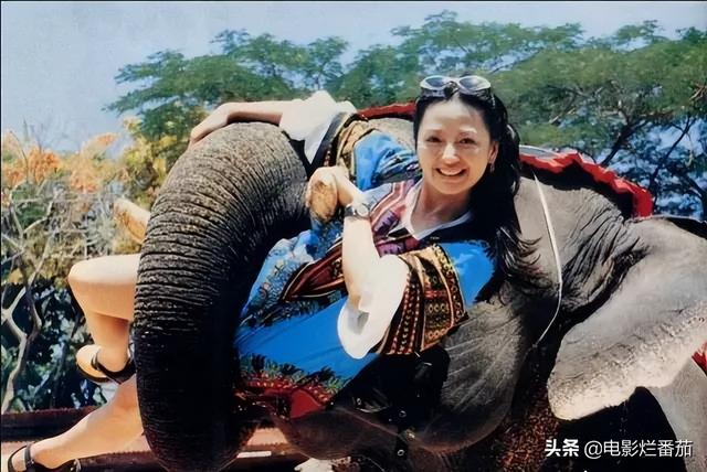 曾红极一时,却红颜薄命的10位女星,每一位都令人惋惜