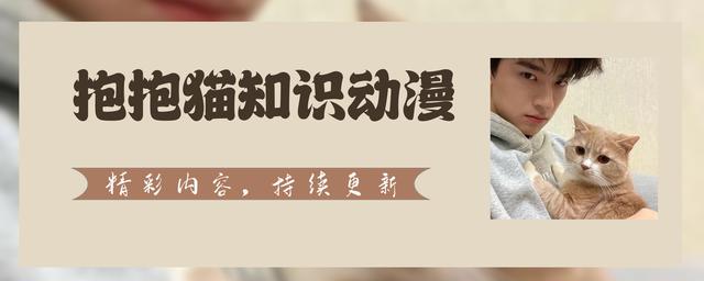 胸部的形狀，可以分為幾種？女人如何正確計(jì)算自己的罩杯？