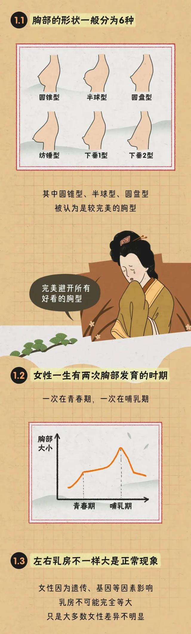 胸部的形狀，可以分為幾種？女人如何正確計(jì)算自己的罩杯？