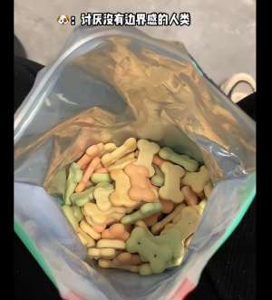 女人和狗(女子吃零食狗子一直盯著自己，低頭看后語(yǔ)塞了：我真不是故意的)
