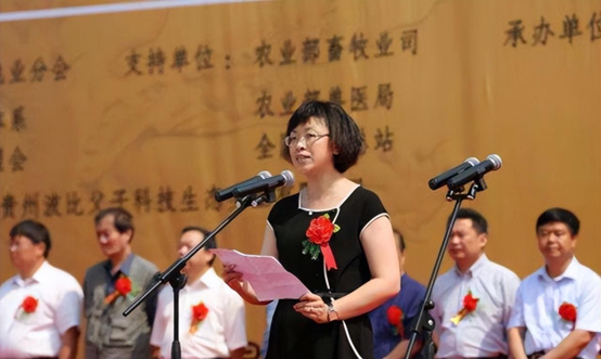 记实:美女市长杨晓波,陪睡40位男人,被抓时跪地哭喊求饶