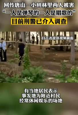 西紅柿女孩(唐山又出現(xiàn)小樹(shù)林事件，兩人遇害)