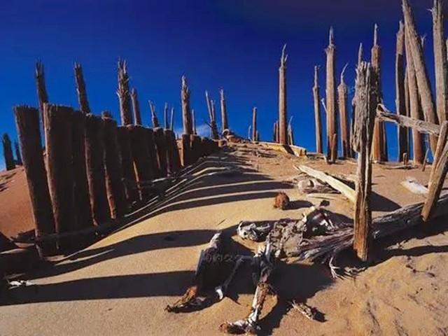 2003年新疆挖出女干尸,骨骼纹路清晰,嘴唇还涂着2700年前的口红