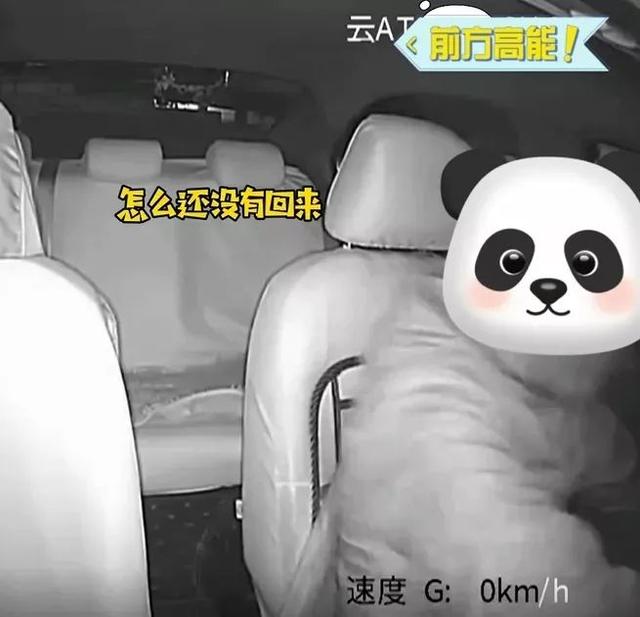 都是你嗎？年輕漂亮的小姐姐，你在哪？你咋總在深夜打車不給錢？還拉黑司機？