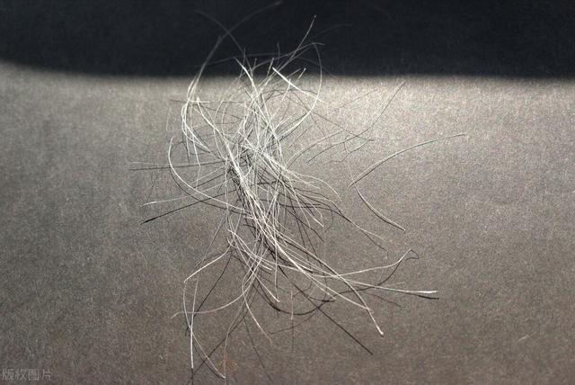 阴毛有啥用?要刮掉吗?由黑变白预示着什么?别害羞,不妨看看