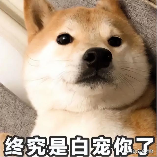 辣眼睛!网上招嫖团伙“女神”真容曝光