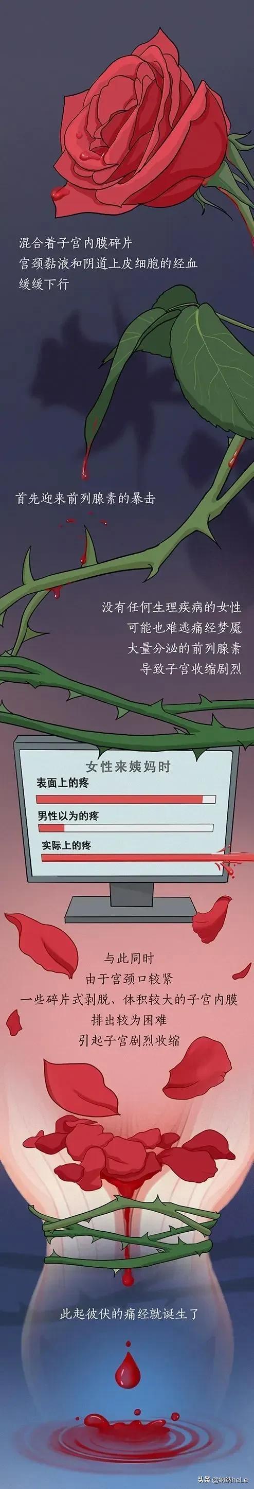 女生“大姨妈”全过程解析,男生能坚持看完吗?