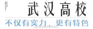 美女最多的大學(xué)(武漢高校的愛恨情仇，比偶像劇還好看)