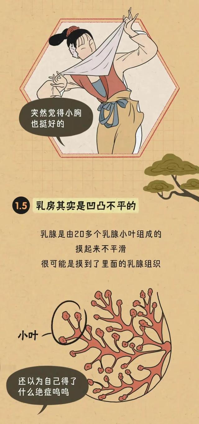 胸部的形狀，可以分為幾種？女人如何正確計(jì)算自己的罩杯？