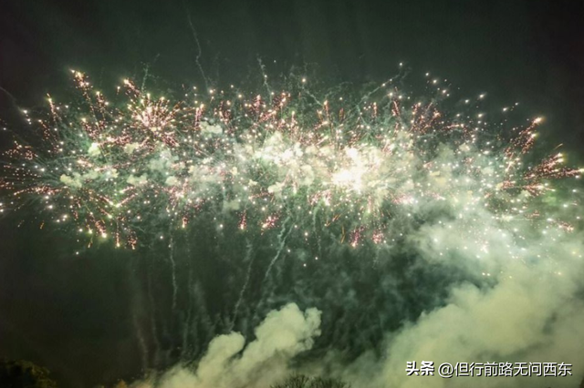 《面包树上的女人》:张小娴笔下的爱情 已经过时了么
