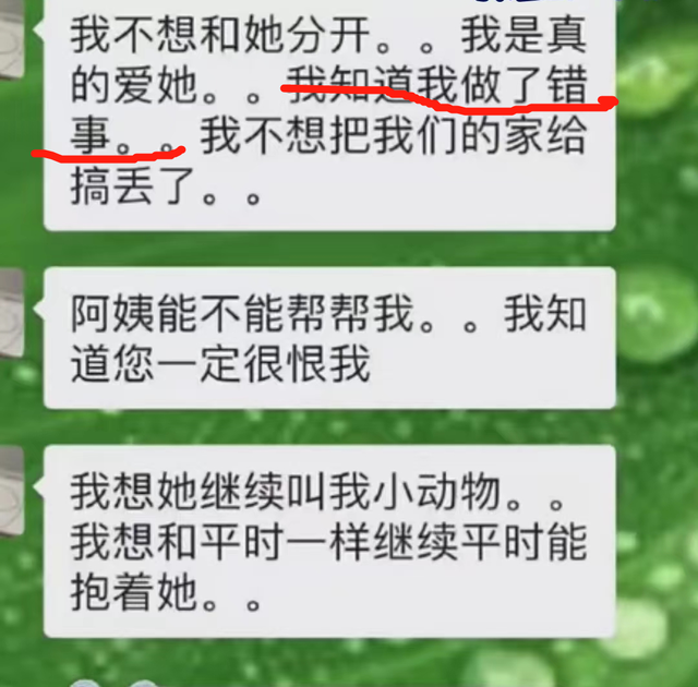 张恒出轨遭抓包画面曝光!下跪打滚撕衣服,三段视频揭露真面目