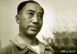 戴笠的女人(軍統(tǒng)之花向影心：為毛人鳳生下8個孩子，戴笠死后，被送入瘋?cè)嗽?