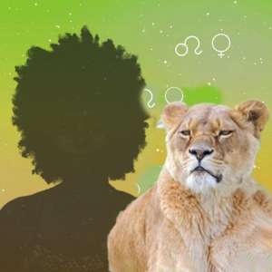 獅子座女生(獅子座的女人是一個富麗堂皇的母獅，無論從哪方面來看都是女王)