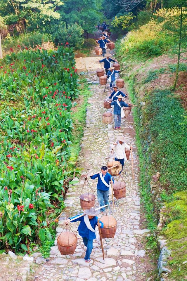 此生必走一次！纏繞浙閩山間的千年古道，真正的好山好水，遺世獨(dú)立