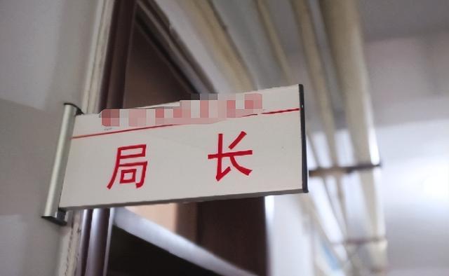 辽宁“翘臀女局长”落马:涉案近10亿,花数百万整容,情夫40余人