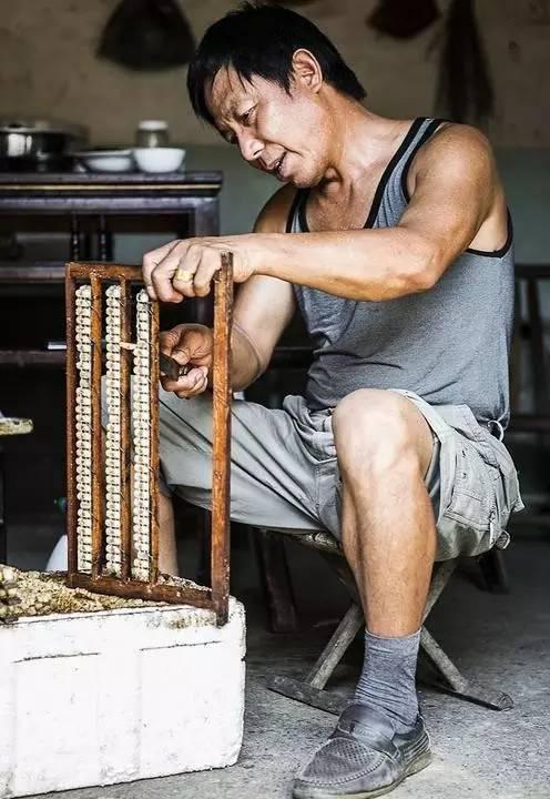 此生必走一次！纏繞浙閩山間的千年古道，真正的好山好水，遺世獨(dú)立