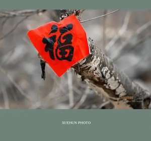 小村女人香全文閱讀(陳志林：小村年味)