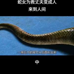 我居然變成了女生(蛇女為救丈夫變成人形來到人間)