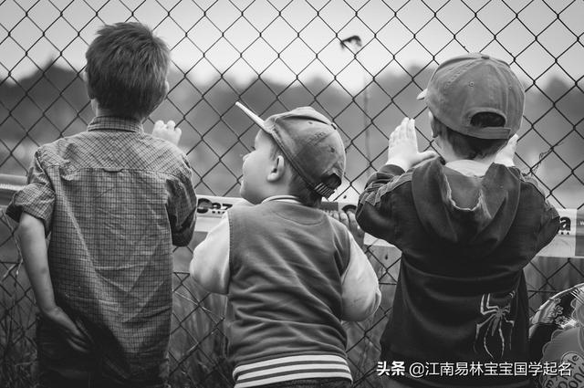 唐诗宋词起名:200个有智慧涵养的女孩名,灿若樱花,空灵典雅
