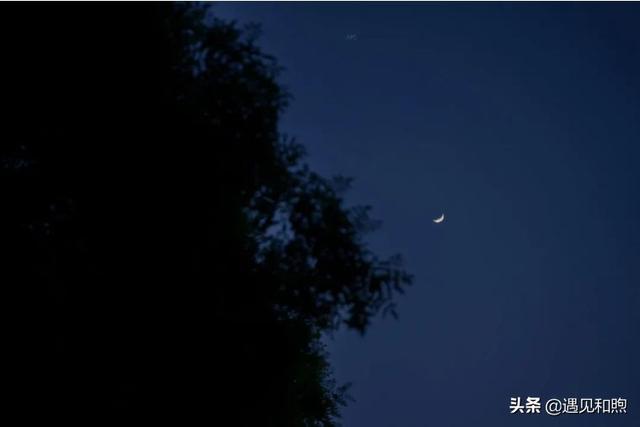 这4个“委婉”的举动,往往可以暗示男人:我喜欢你