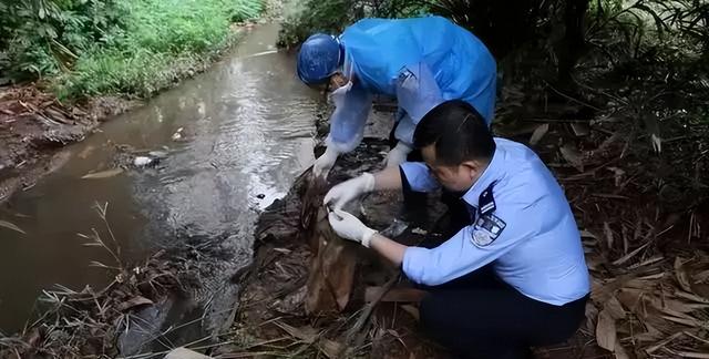 11名女子被杀害,凶手竟然割去女子隐私部位,进行强奸!太可恶了