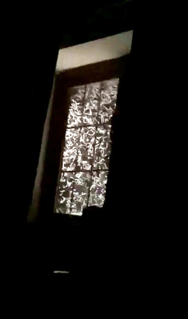 英美女被吵醒，見恐怖景象受驚尖叫：成千上萬蚊蟲密密麻麻鉆屋內(nèi)