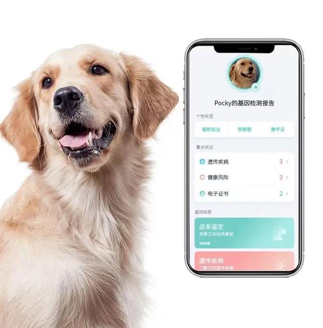 实不相瞒,我们这些养宠人士很想收到这样的礼物!