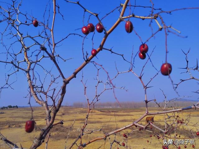 關(guān)中往事系列25——黃土高坡的美景和美人