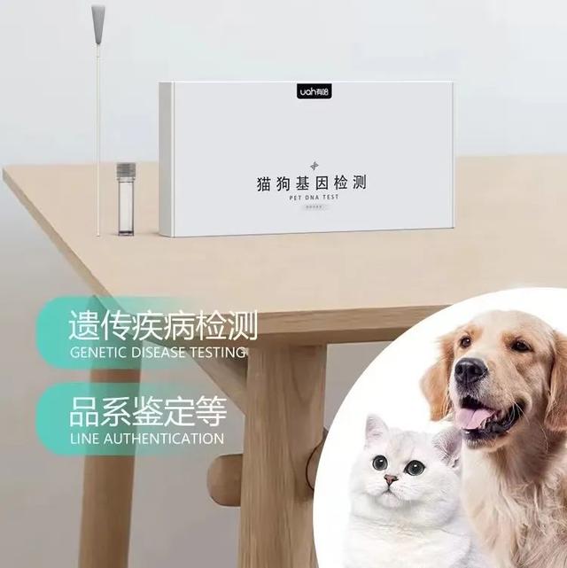 实不相瞒,我们这些养宠人士很想收到这样的礼物!