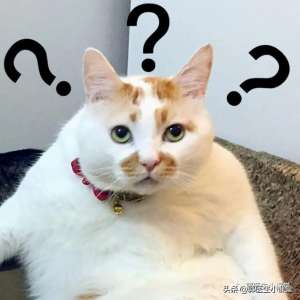 男人的精子女人能吃嗎(精液真能美容？大補(bǔ)？那玩意能吃嗎？)