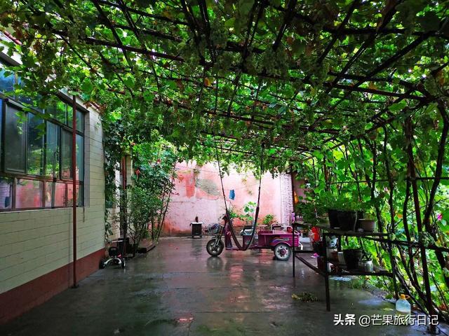 新疆旅游,到回族美女家做客,眼界大开,简直是女人梦想的天堂