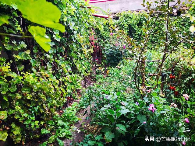 新疆旅游,到回族美女家做客,眼界大开,简直是女人梦想的天堂