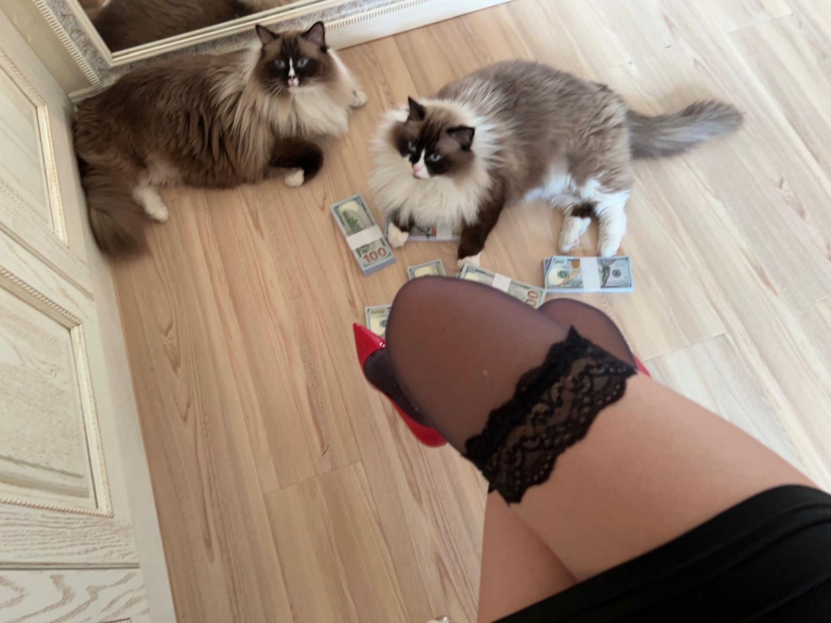 张老师大合集倒数第二期