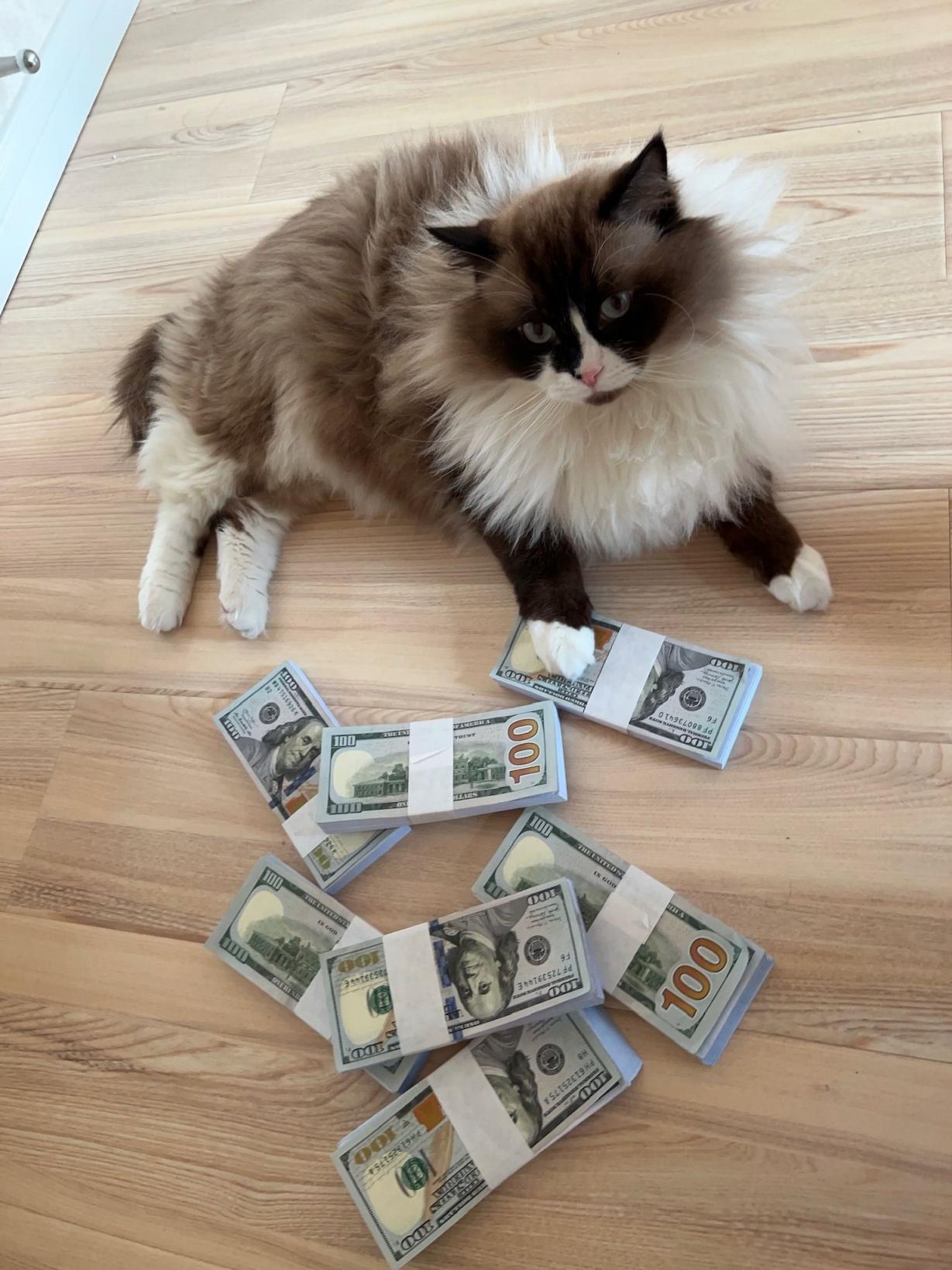 张老师大合集倒数第二期