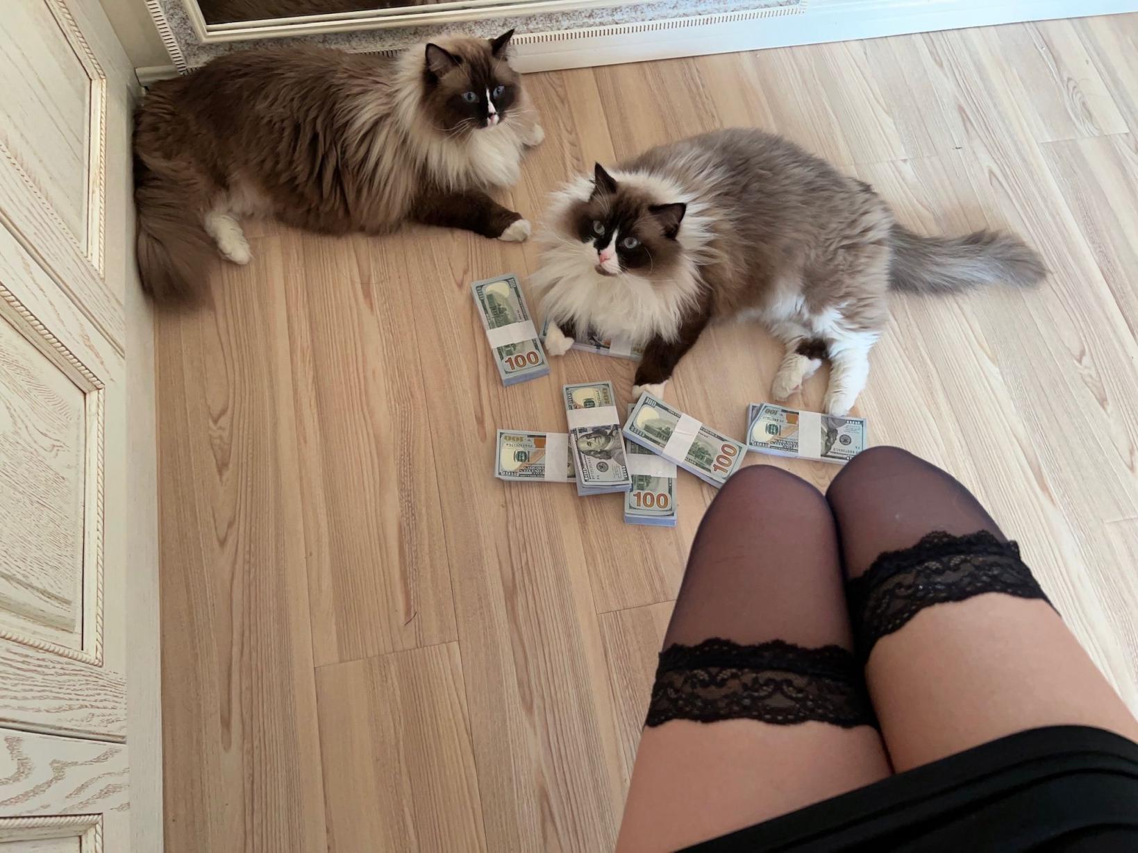 张老师大合集倒数第二期