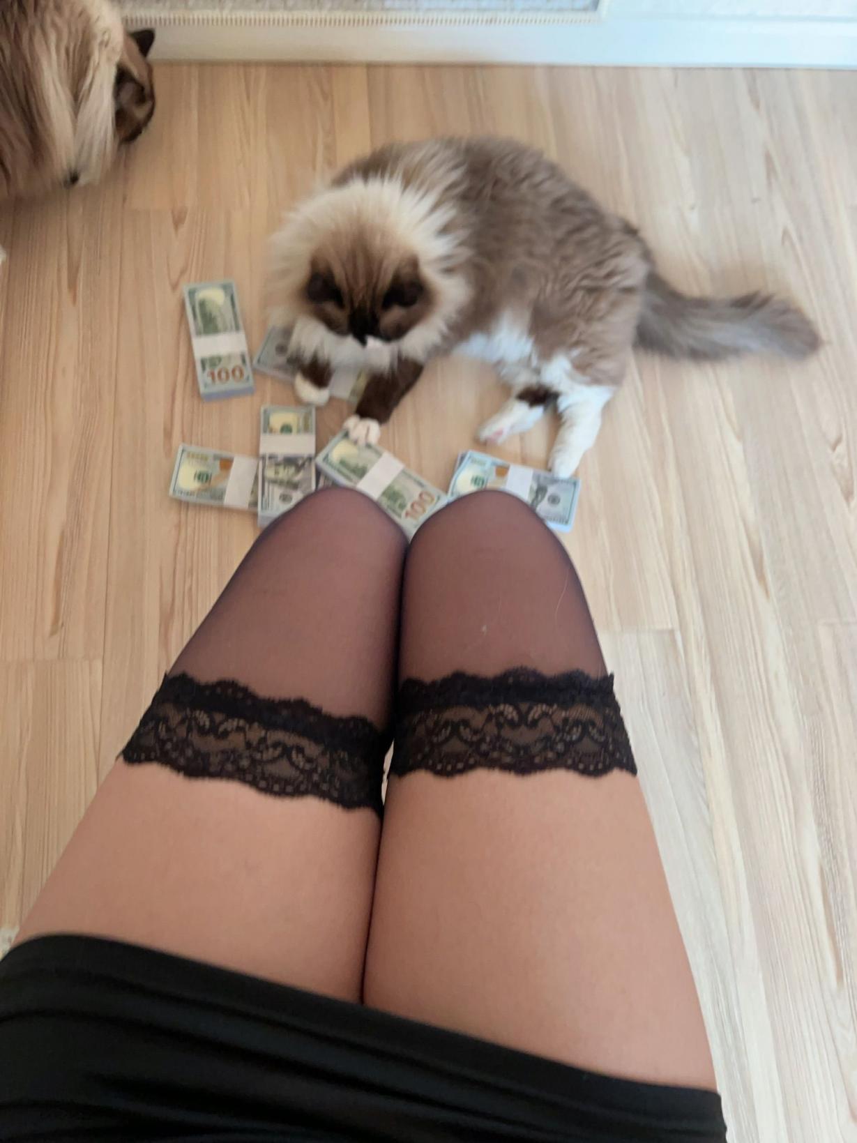 张老师大合集倒数第二期