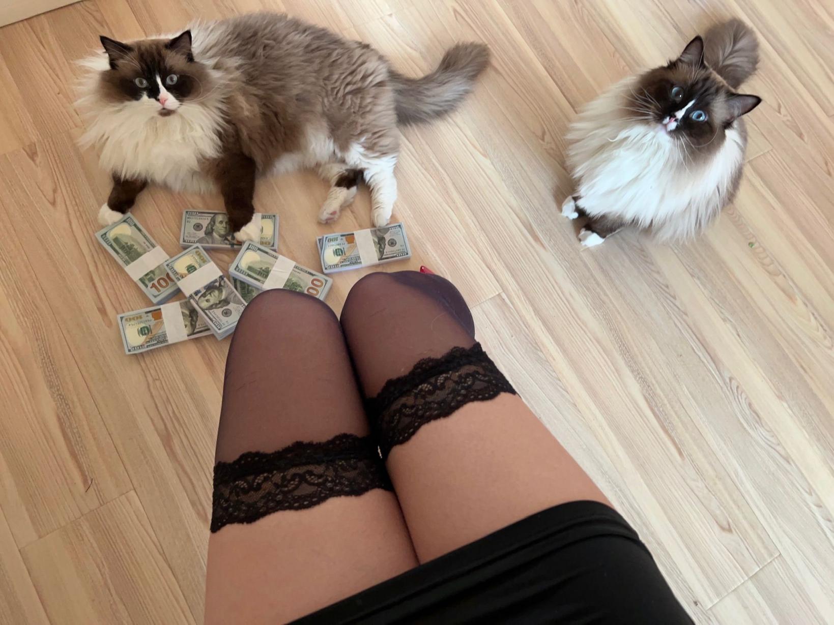 张老师大合集倒数第二期