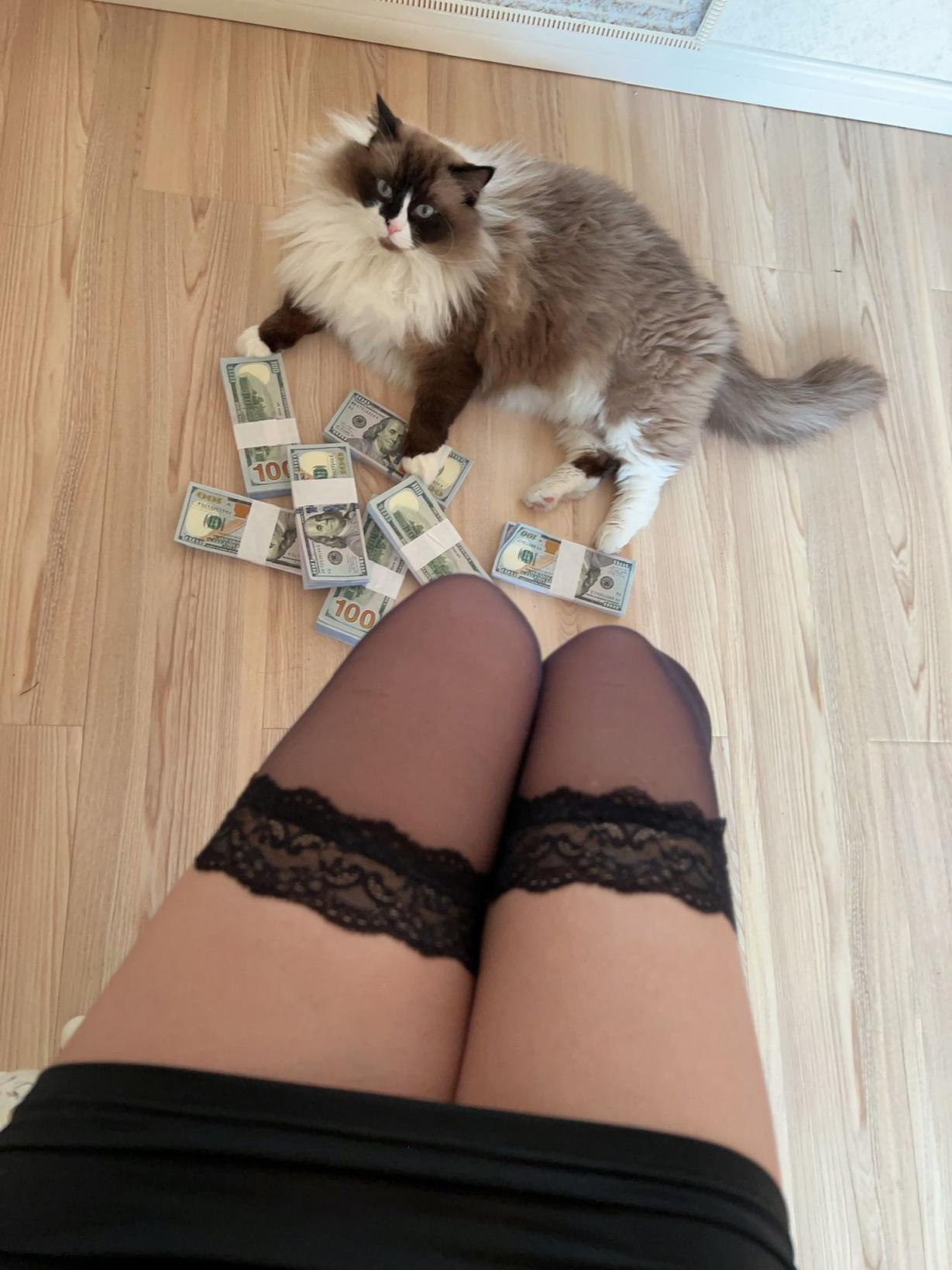 张老师大合集倒数第二期