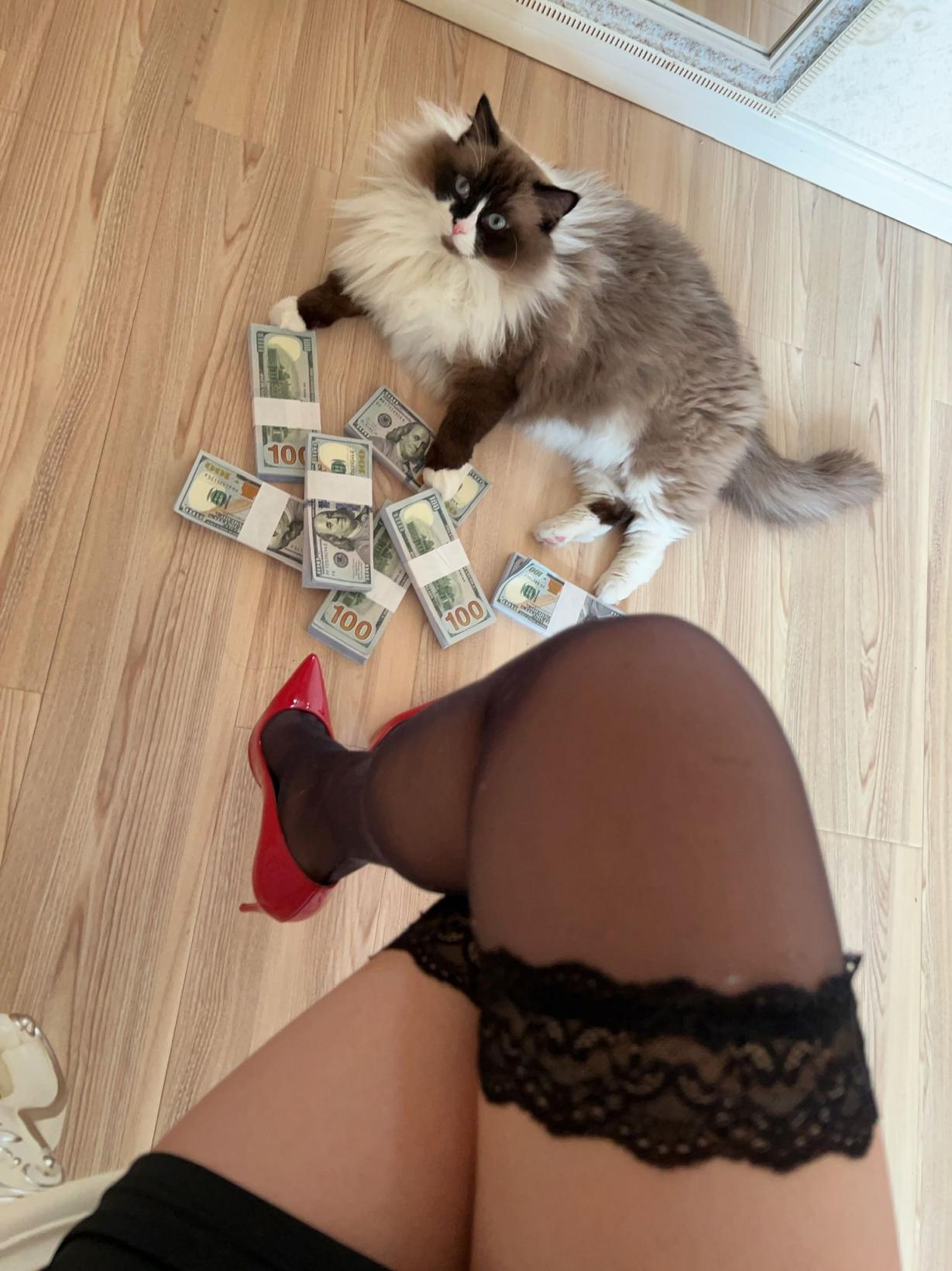 张老师大合集倒数第二期