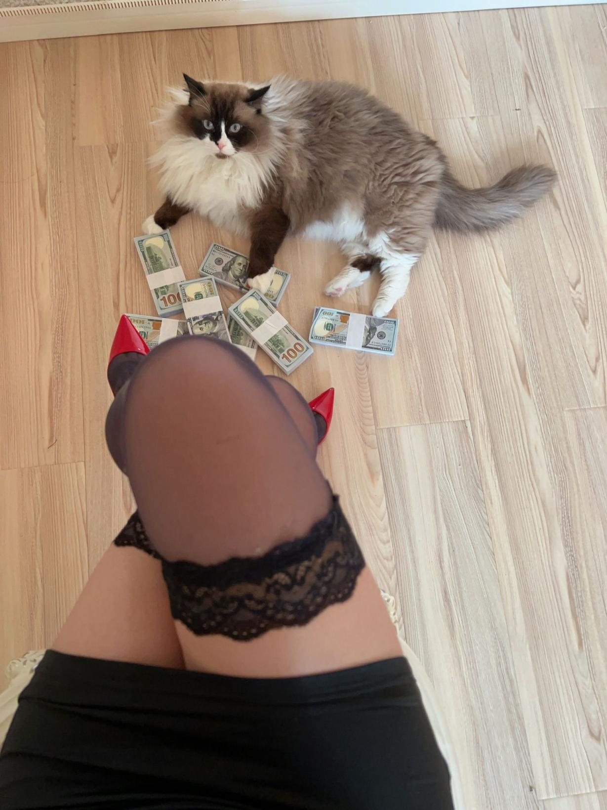 张老师大合集倒数第二期