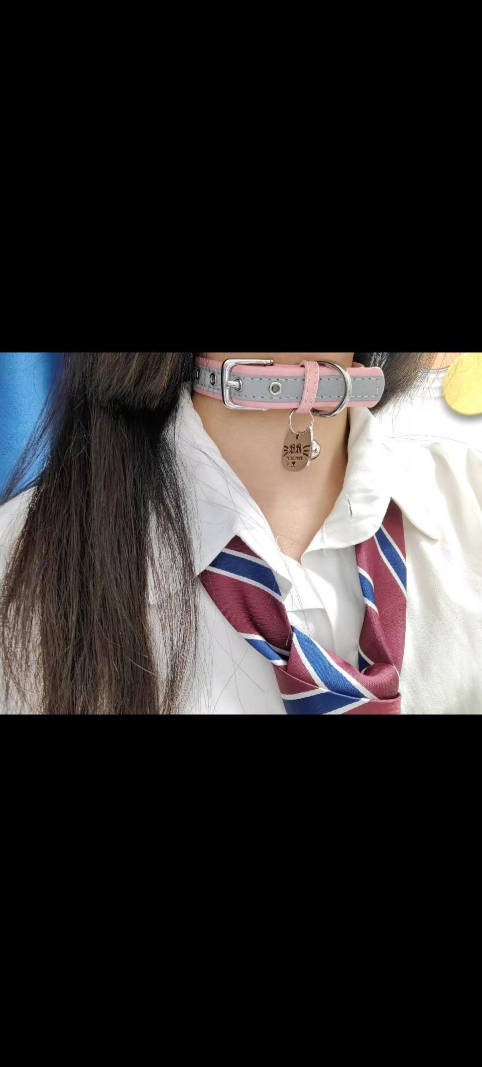 依然主人的任务