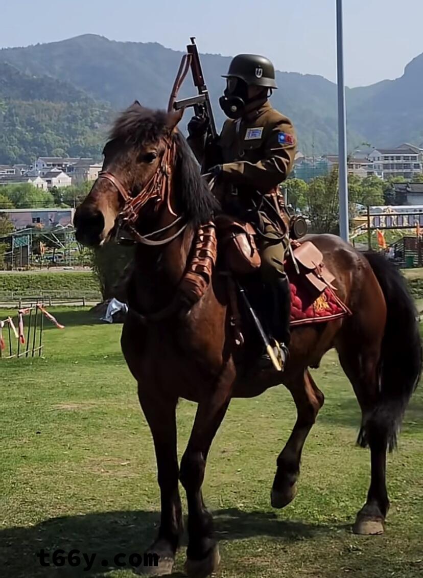 依然主人的任务