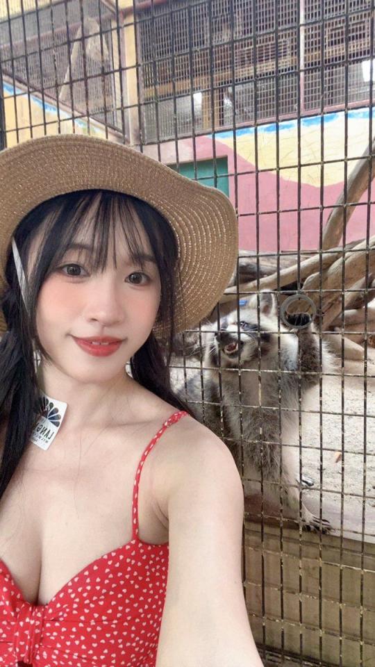 你们爱看的大胸美女