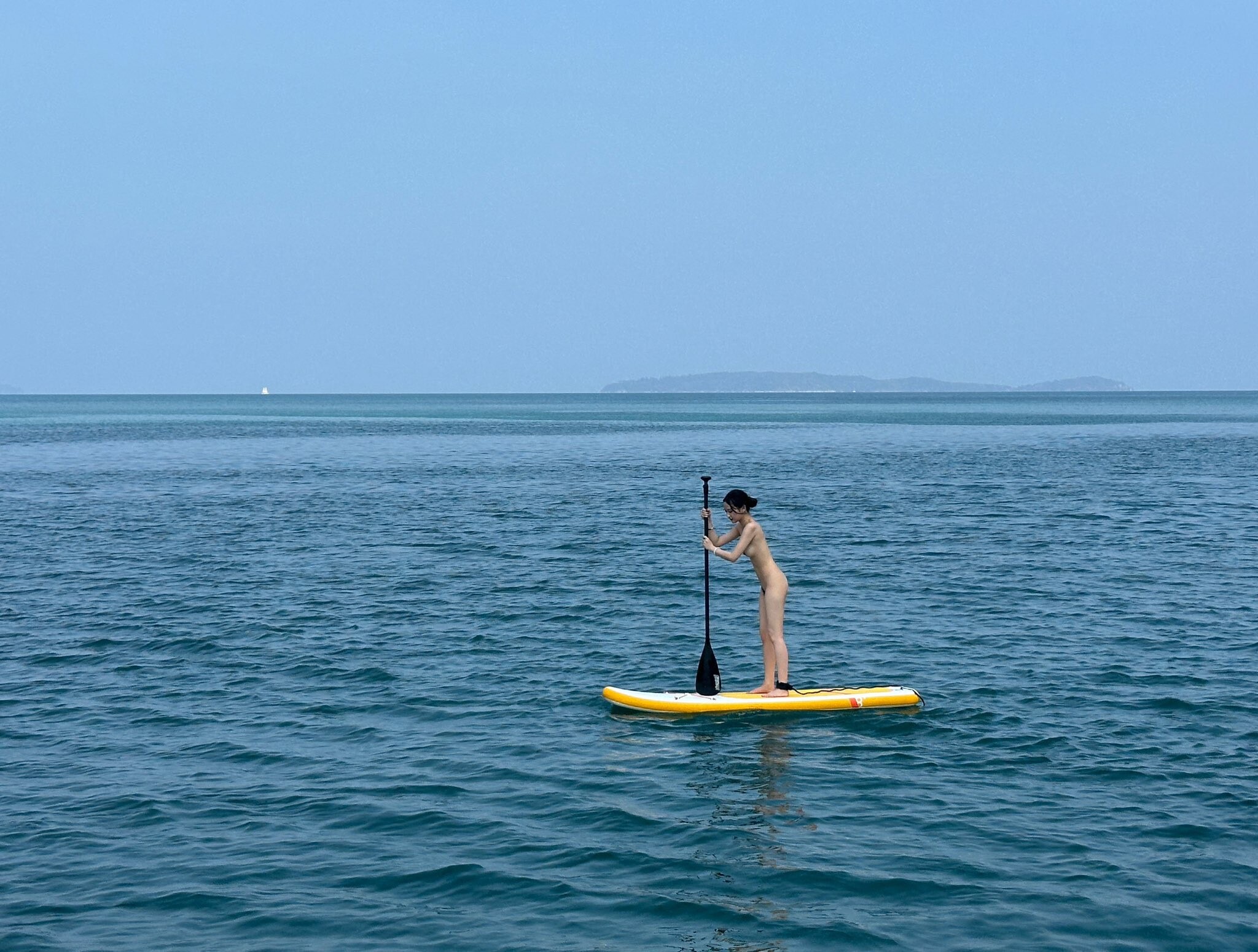 西夏一品堂希威社散图