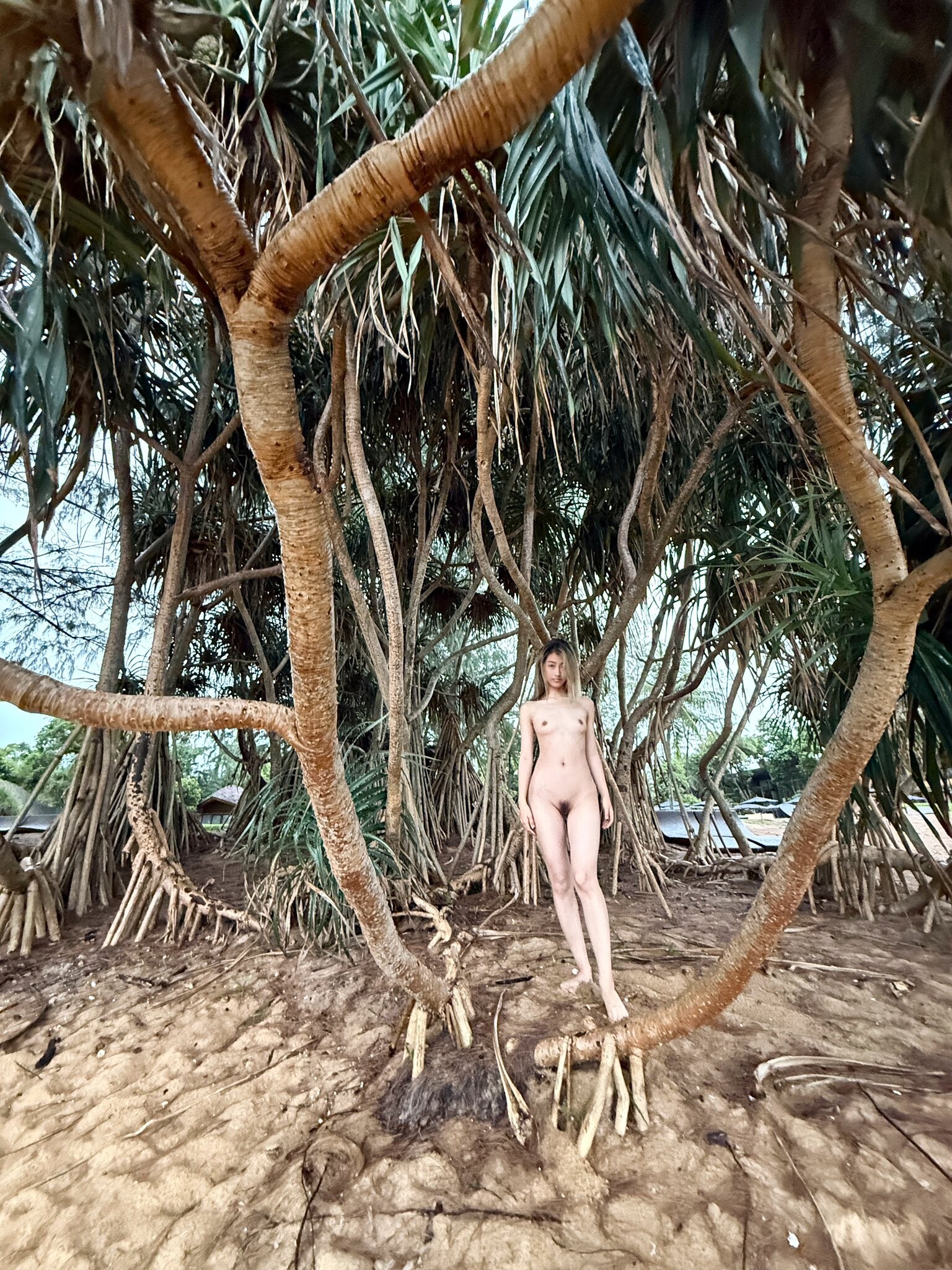 西夏一品堂希威社散图