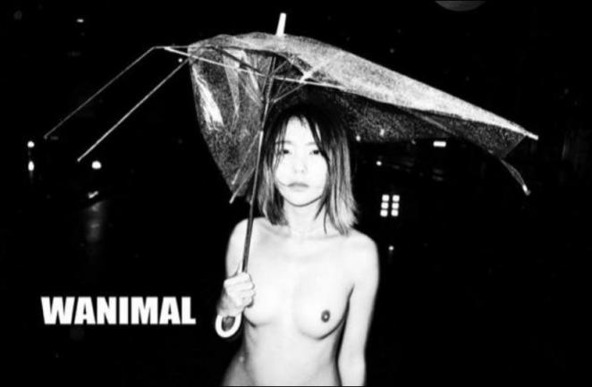 黑白也可以很美