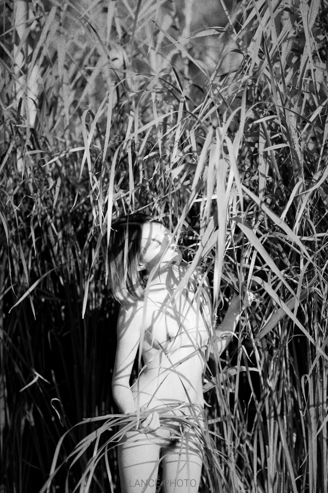 黑白也可以很美