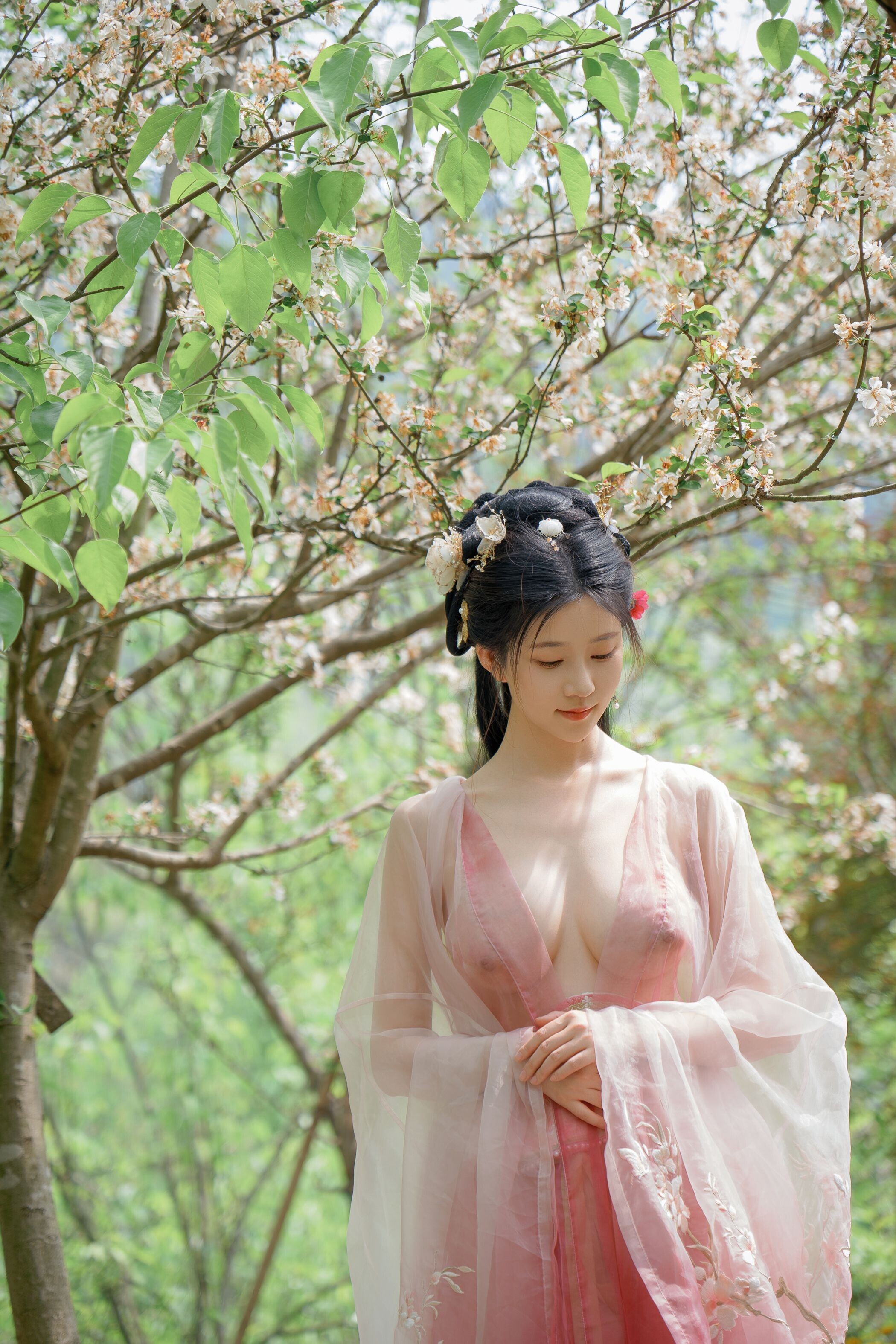 海棠仙，粉红海棠神仙美人